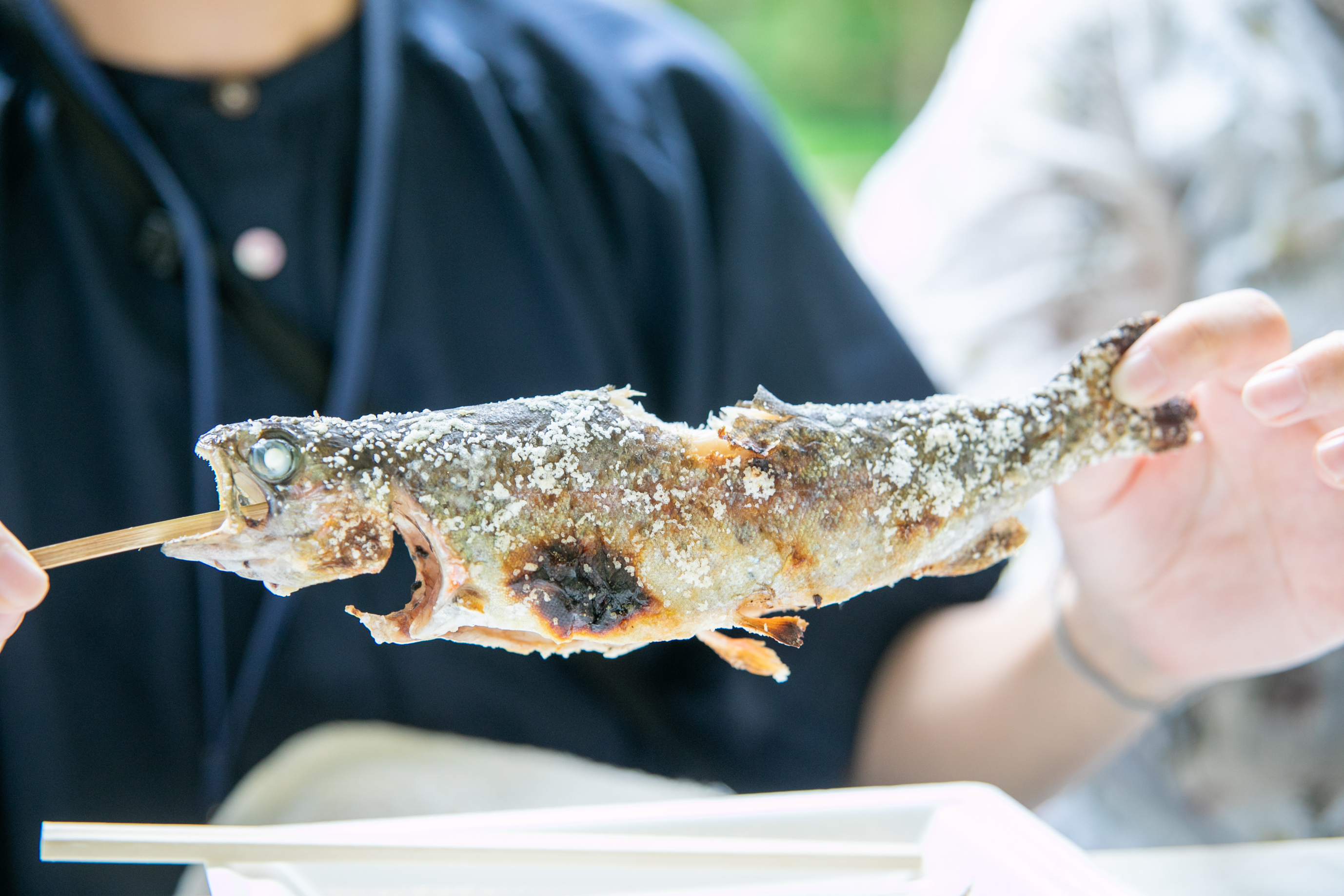 ニジマスの塩焼き